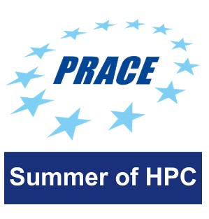 Logo letniej szkoły PRACE